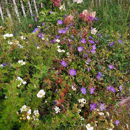 La Roulotte De Mouni * Gesves