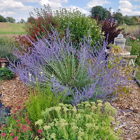 La Roulotte De Mouni Hytte