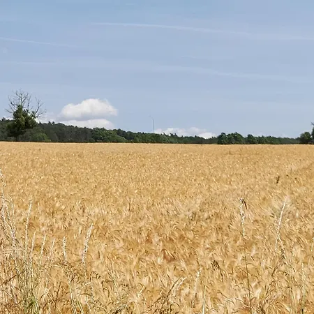 La Roulotte De Mouni * Gesves